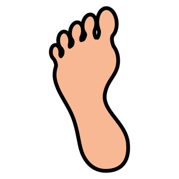 Human foot silhouette icon vector illustration graphic design