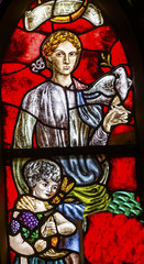 Peace Woman Child Dove Stained Glass Window De Krijtberg Church Amsterdam Netherlands