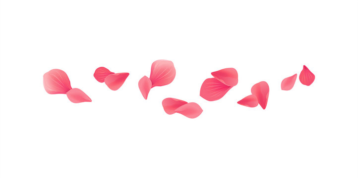 Pink Red flying petals isolated on white background. Sakura Roses petals. Vector EPS 10, cmyk 