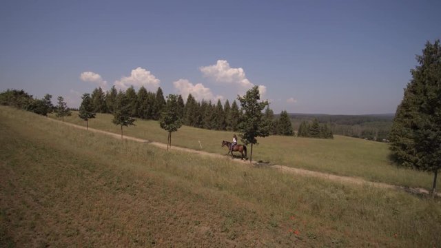 Frau auf Pferd - Panorama Landschafts Aufnahme von oben

Eine hübsche Frau reitet auf einem Pferd über Felder im Sommer. Die Kamera fliegt über die Landschaft und filmt von oben. Copter shot.