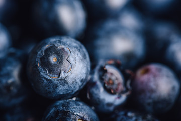 Blueberry Close Up Background