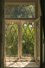 window to the garden