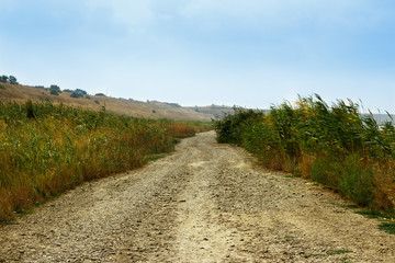 Autumn path in a field with hills