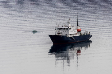 Vessel in Arctic sea