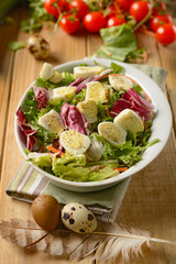 Assorted vegetables salad with quail eggs