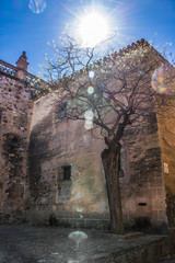 Cáceres