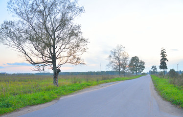 Obraz premium Road between the fields at sunset.