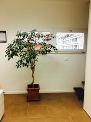 Interior style (Fano, Italy)