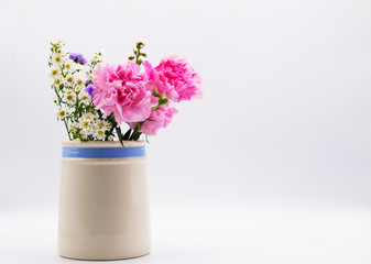 Pink carnation on light background