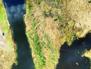 Everglades, Florida. Aerial overhead view of earth surface