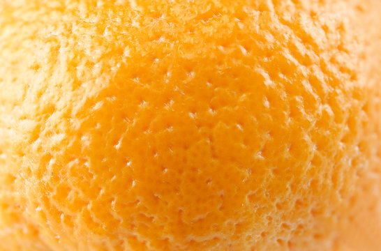 close up on fresh orange background