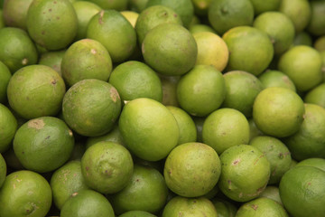 Green Lemon selected focus