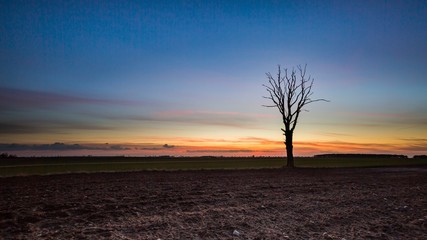 Beautiful vibrant sky over fields in Poland