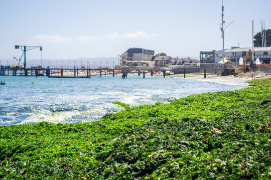 Seashore in Algarrobo, Chile at summer time