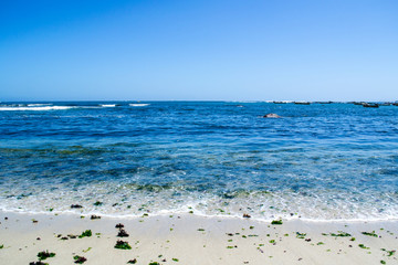 Wide view of the seashore with some seaweed at Algarrobo Chile