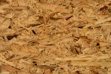 Plywood