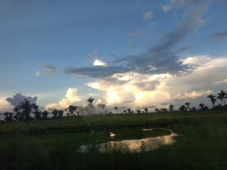 paisagem