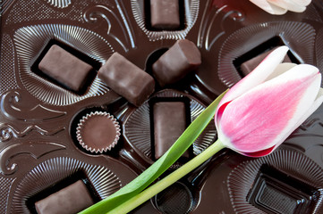 Tulips and chocolate sweets on a brown background