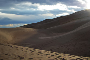 Fototapeta na wymiar Sand Dunes in the Evening