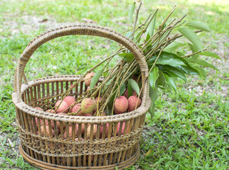Fototapeta na wymiar Fresh lychee in straw basket for sell in market on the green glass