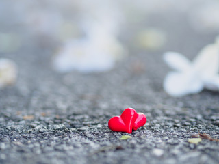 Fototapeta premium red heart and white flower on road