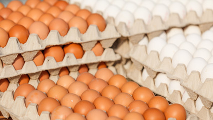 fresh eggs at the market.