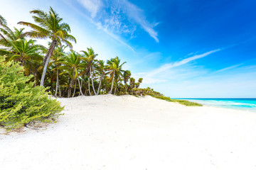 Paradise beach with beautiful palm trees - Caribbean sea in Mexico, Tulum