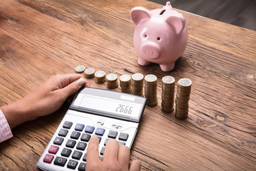 Woman Calculating Finances
