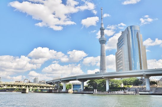 Tokyo Skytree and Sumida Ward Office building located on the east bank of the Sumida River in Sumida, Tokyo, Japan.