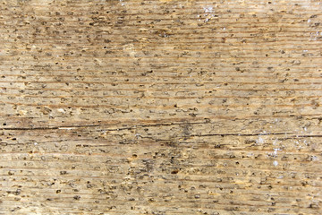 Wood texture. Lining boards wall. Wooden background pattern.