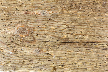 Wood texture. Lining boards wall. Wooden background pattern.