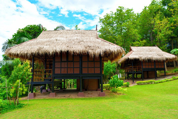 Fototapeta na wymiar Country cottage garden in Thailand.