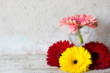 Red and pink gerbers on a light background
