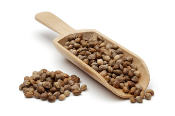 Hemp seeds in wooden scoop