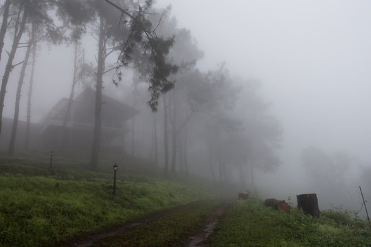 The house is in the forest and fog.