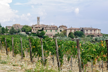 Fototapeta na wymiar Vineyard below the hilltop village of Villa a Sesta in Chianti, Tuscany, Italy