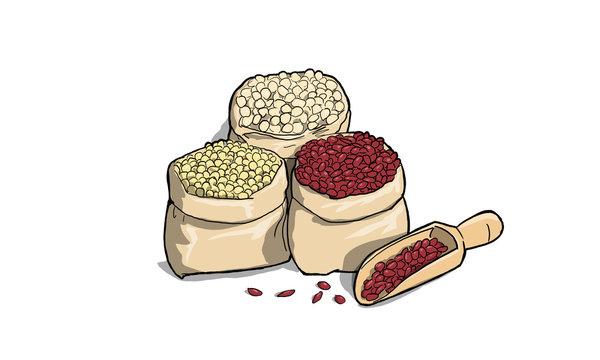 illustrazione di legumi come ceci, fagioli, piselli