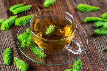 Hustentee aus Maiwipferl - Tee, Maitrieb, Fichtennadeln