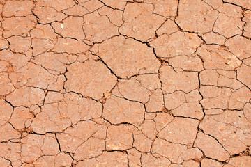 Dry, cracked ground