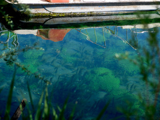 Riflessi sul lago naturale di posta fibreno in ciociaria