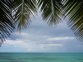 Fototapeta na wymiar Nature Landscape Tropical Background Holiday Travel Design. BAYAHIBE, DOMINICAN REPUBLIC