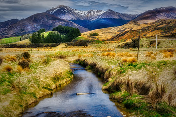 A Golden Land