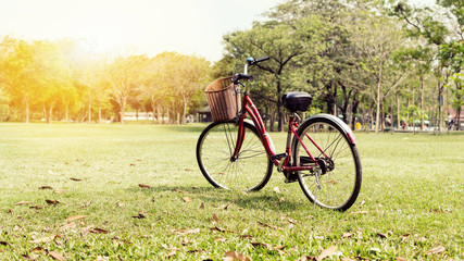 Fototapeta premium Bicycle on green grass in the park