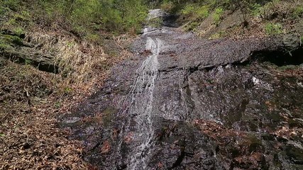 04/28/2017 Waterfall"Shiraitonotaki" in Fujiyoshida City