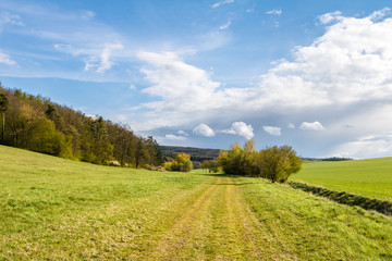 Spring countryside with green meadows