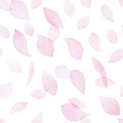 Hand drawn watercolor falling sakura petals seamless pattern on the white background