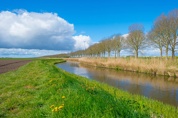 Canal through the countryside in spring 
