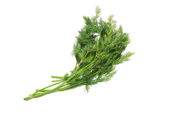 Sprig of fresh dill on white background