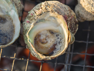 Turban shell BBQ