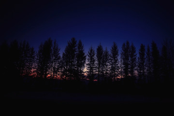 winter night photo